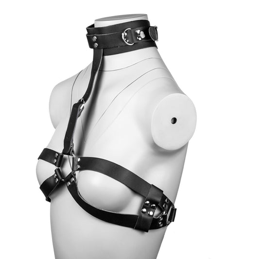 Black adjustable body harness with collar and metal rings