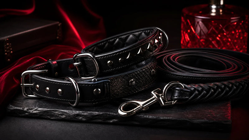 Collars & Leads