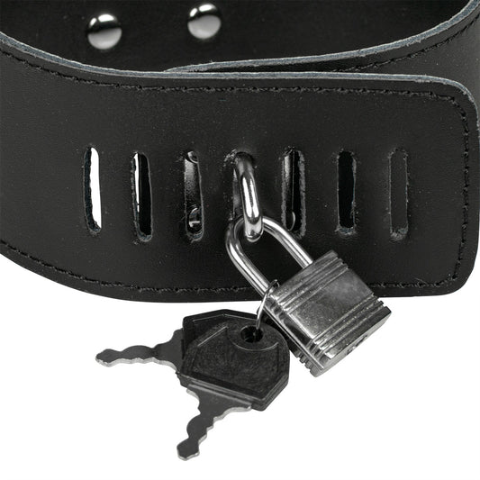 Bonage Dog Lead Restraint Collar Puppy Leash BDSM Black