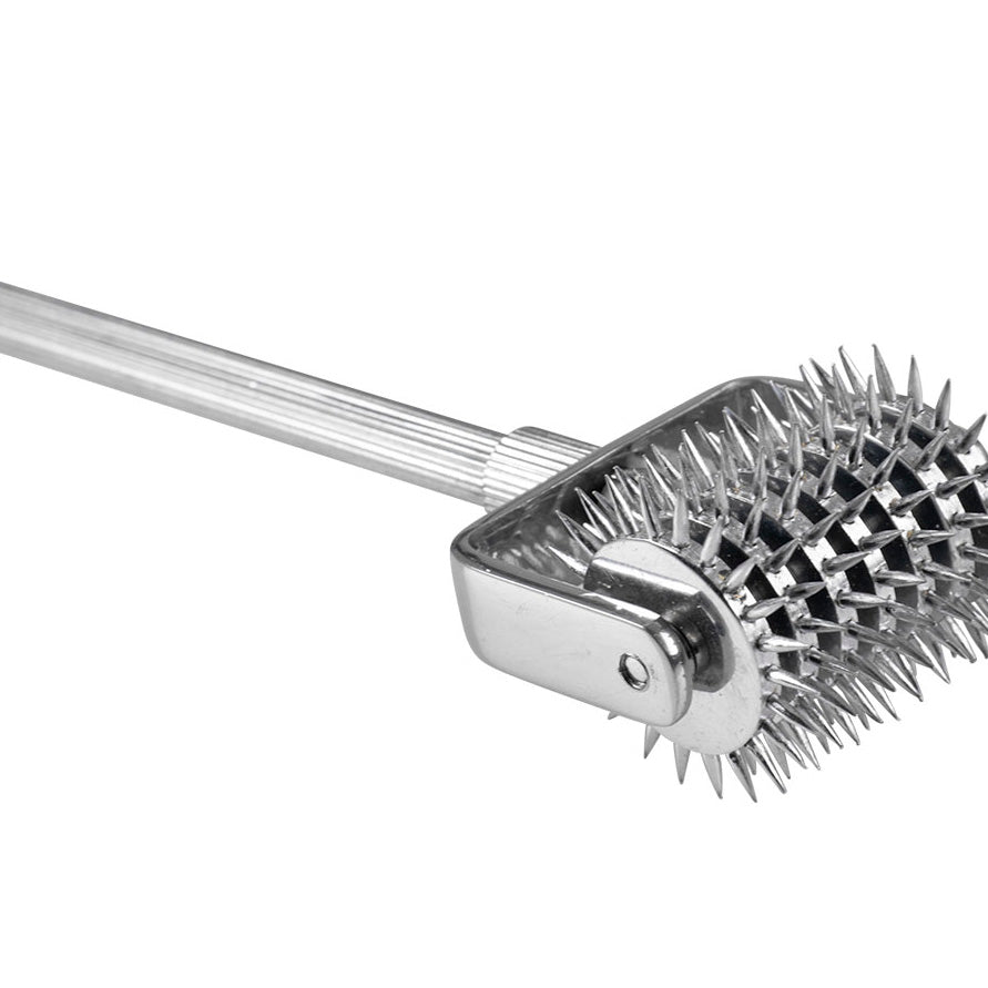 Steel Wartenberg pinwheel sensory stimulation wheel KR-0974